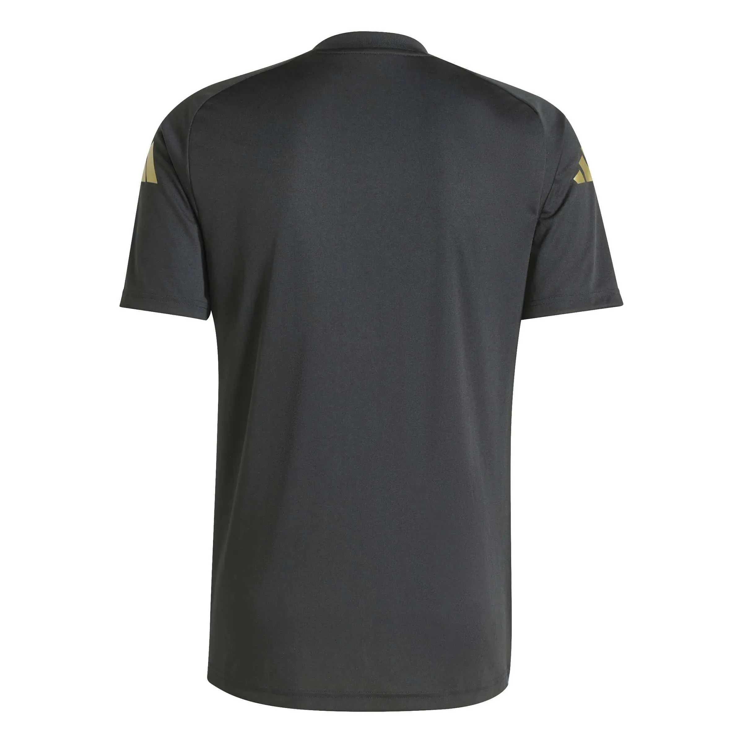 adidas 2024-25 Argentina Men's Pre-Match Jersey