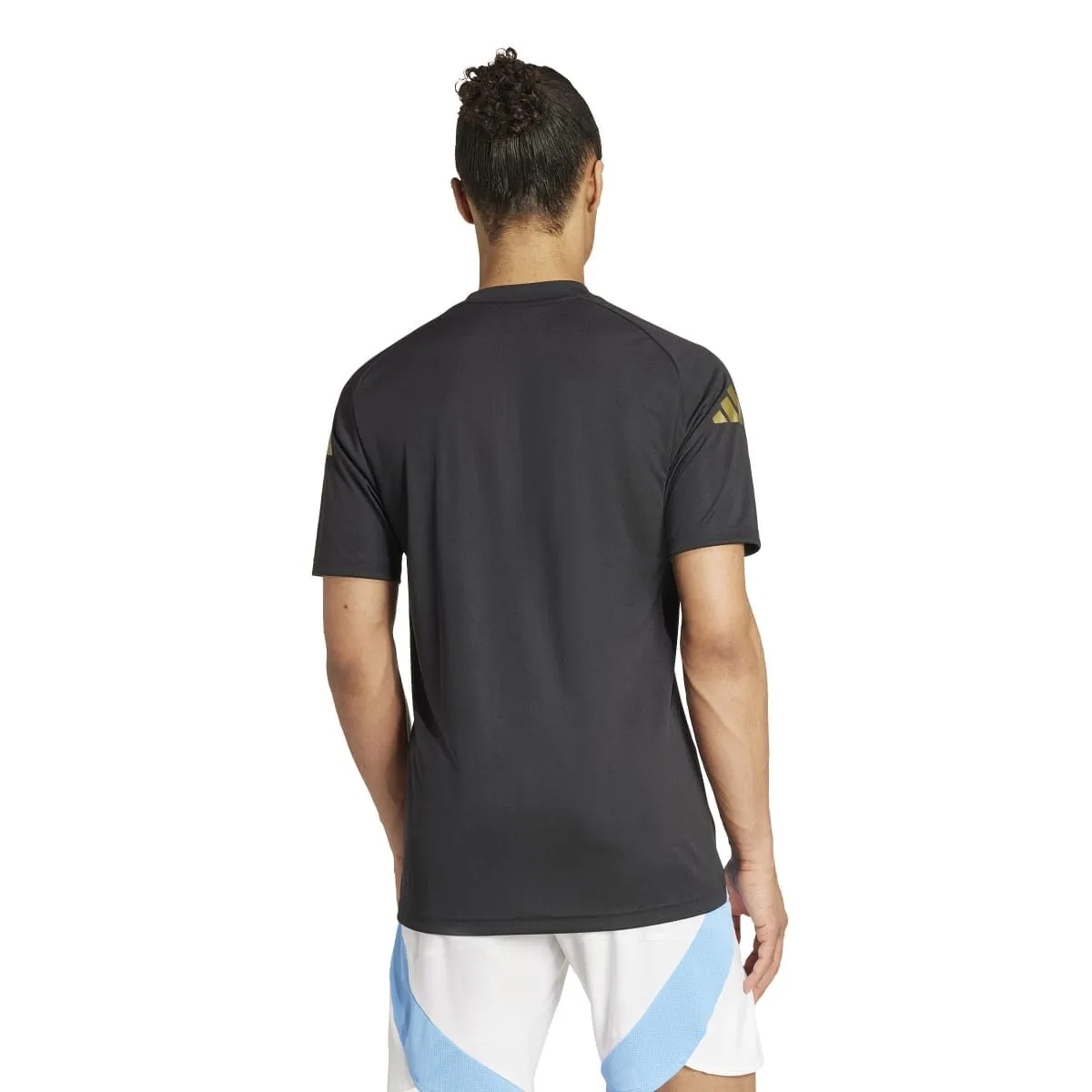 adidas Men's Argentina Pre-Match Jersey | IW5363