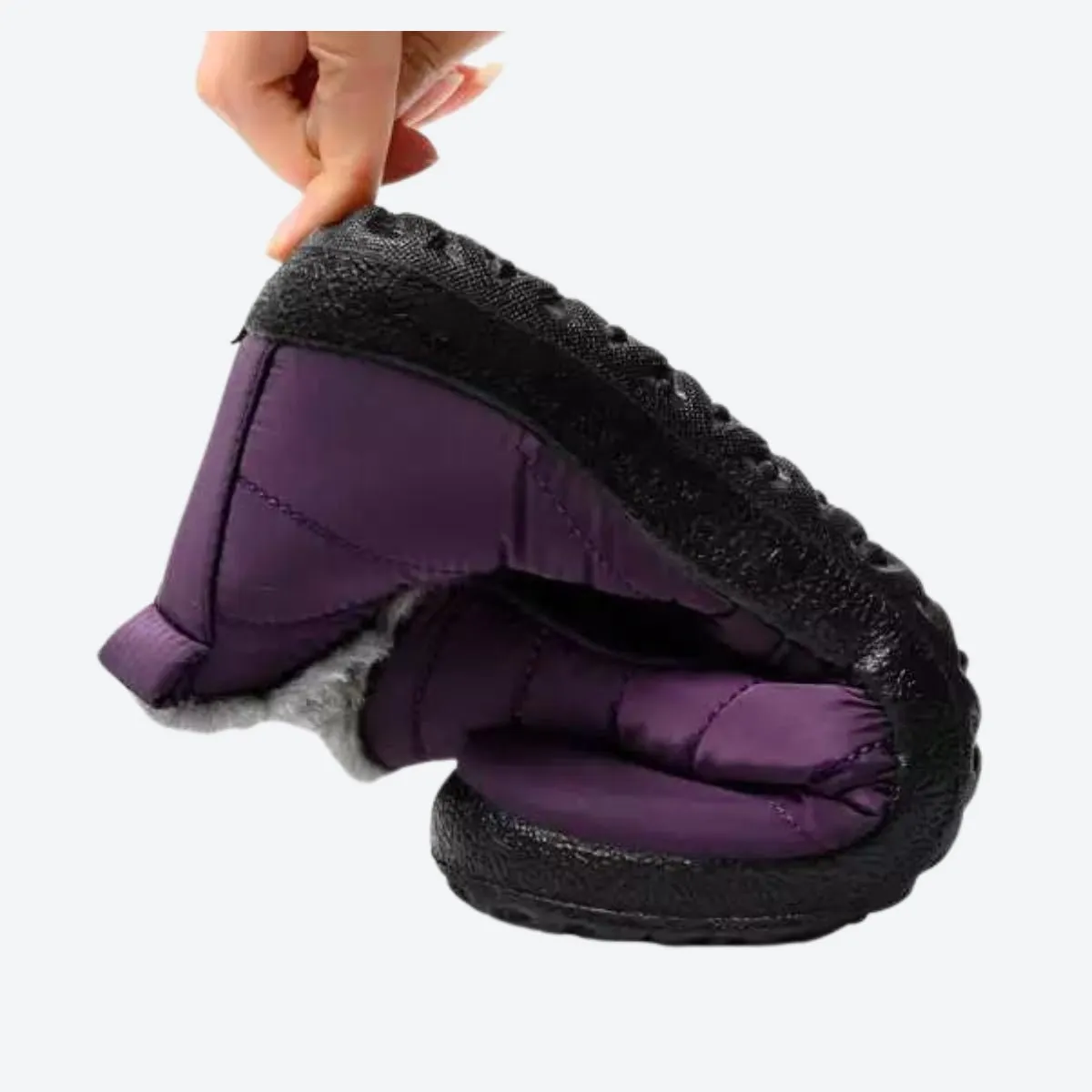 Ice Guard
