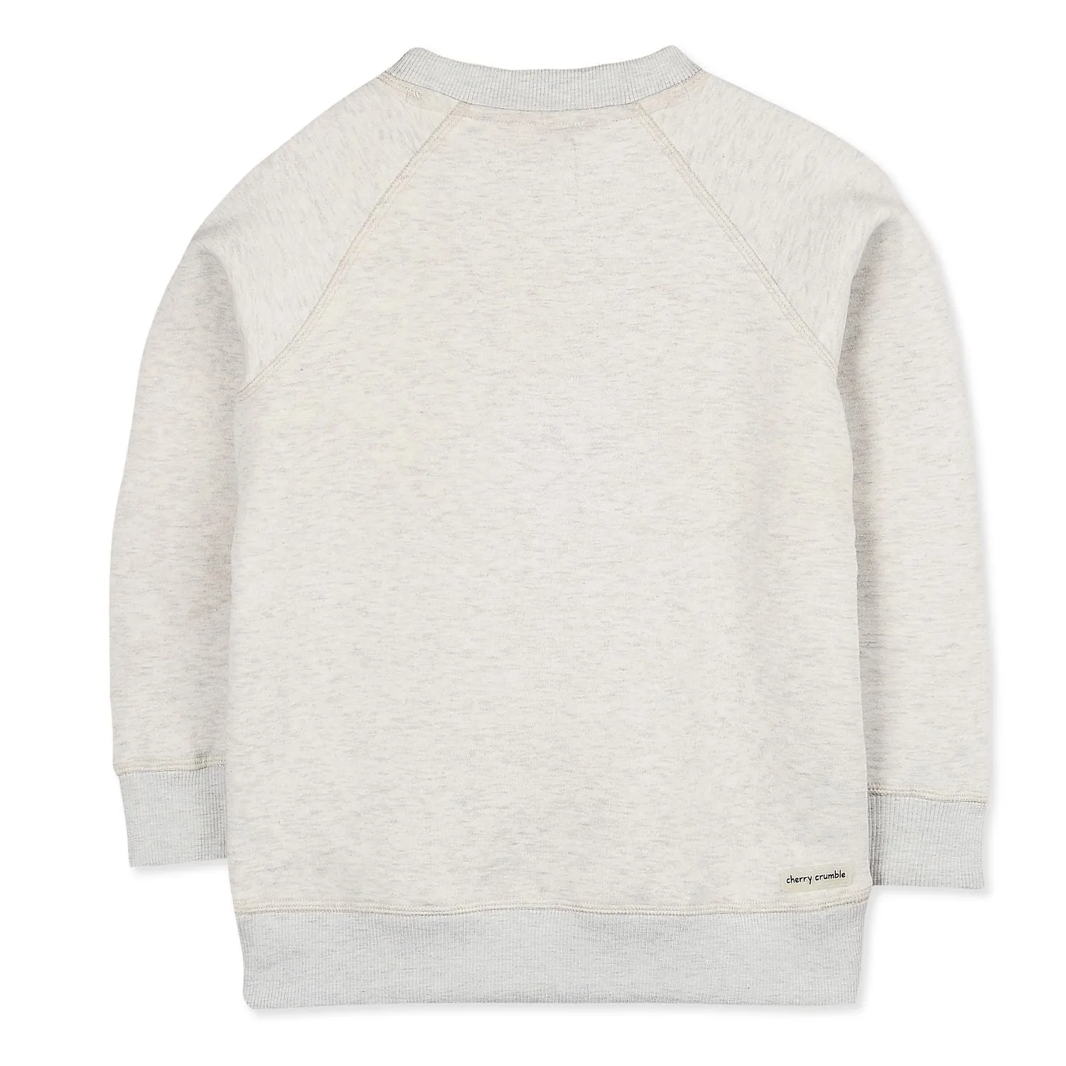 Singing Dino Sweatshirt